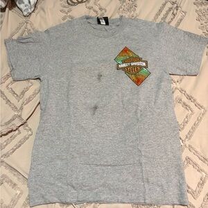 Harley-Davidson Gray Tee with Colorful Logo